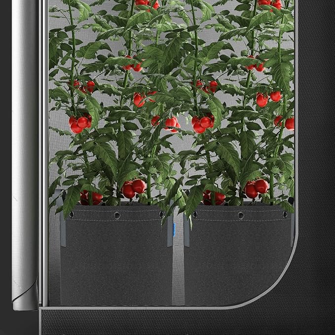 AC Infinity Heavy Duty Fabric Pots, 7 Gallon Aeration Grow Bags 5-Pack with 500G Thick Nonwoven Fabric and Multi-Purpose Rings, for Low Stress Plant Training Fruits, Vegetables, and Flowers