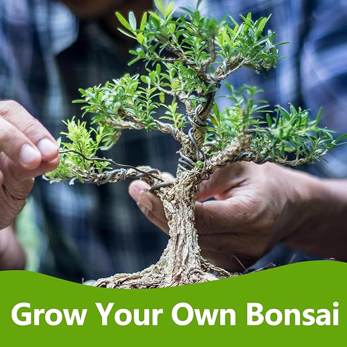 Bonsai Tree Kit, Bonsai Starter Kit with 4 Bonsai Tree Seeds, Tools & Planters, Bonsai Tree Live Plants Indoor, Gardening Gifts for Women Men Mom Father Plant Lover, Unique Christmas Gifts