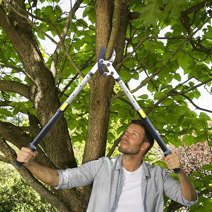 JARDINEER 3PCS Extendable Anvil Loppers Shears Set, Branch Cutters Heavy Duty with 2 Inch Clean Cut Capacity, 28-38.5" Telescopic Tree Trimming Long Handle with SK5 Spare Blade