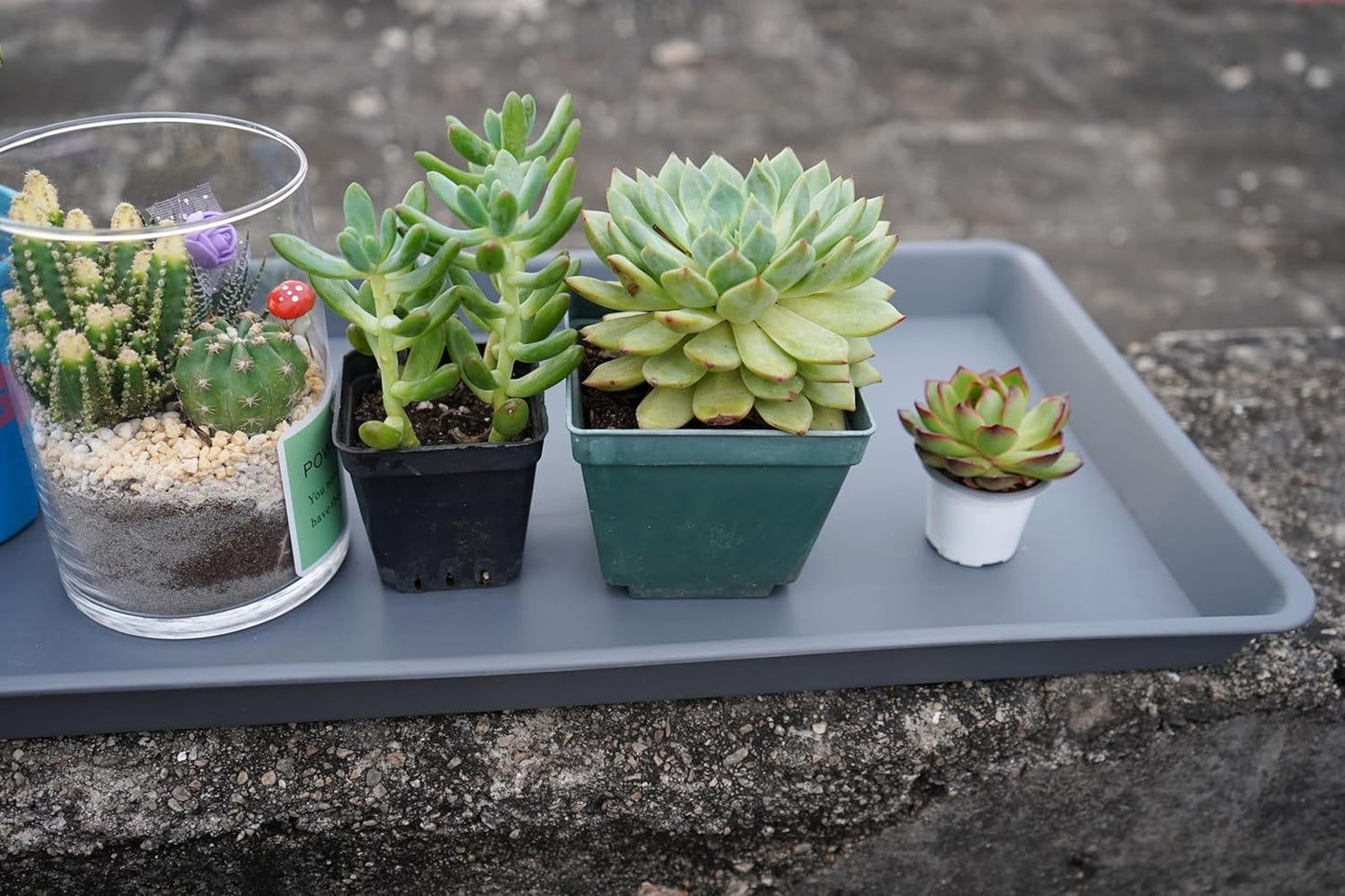 Rectangle Plant Tray, Plant Drip Tray, Plant Pot Saucers, Plant Germination Trays, Plant Saucers, 11'' x 9'' x 1.2'' (2 pack), Gray