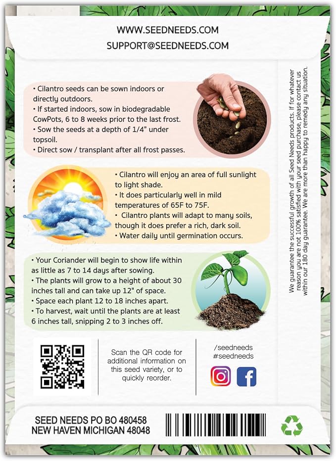 Seed Needs Cilantro Seeds for Planting Coriander Kitchen Herbs - Non-GMO, Heirloom & Untreated - Organically Grow a Home Grown Herb Garden Indoors or Outdoors (2 Packs)