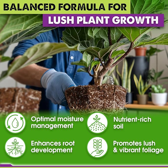 DUSPRO Recycle Fiddle Leaf Fig Soil Specialized for Fiddle Leaf Fig Plant Indoor 5-in-1 Pre-Mixed with Coco Coir, Coconut Fiber, Perlite, Pumice, Pine Bark Ready-to-Use Handmade Mixing Drainage 4 QRT