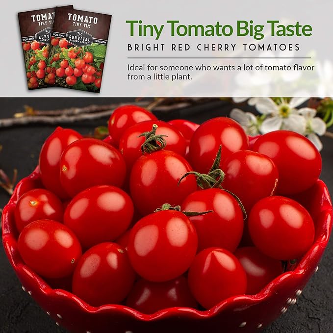 Survival Garden Seeds - Tiny Tim Tomato Seeds for Planting - 3 Packs with Instructions to Grow in Your Home Vegetable Garden - Non-GMO Heirloom Variety
