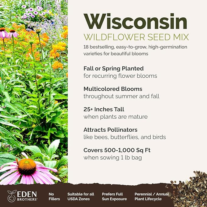 Eden Brothers Wisconsin Wildflower Mixed Seeds for Planting, 1 lb, 480,000+ Seeds with Sunflower, Aster | Attracts Pollinators, Plant in Spring or Fall, Zones