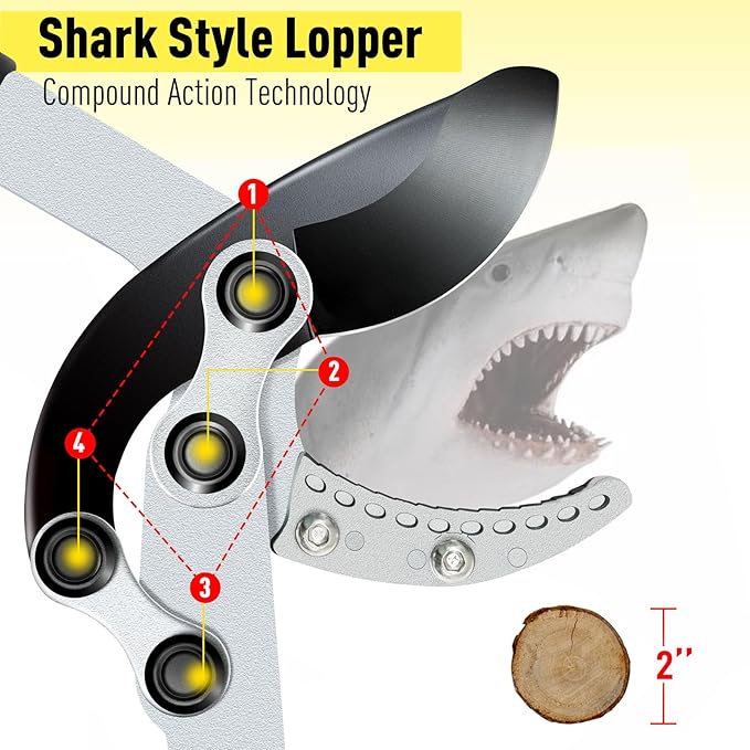 JARDINEER 3PCS Extendable Anvil Loppers Shears Set, Branch Cutters Heavy Duty with 2 Inch Clean Cut Capacity, 28-38.5" Telescopic Tree Trimming Long Handle with SK5 Spare Blade