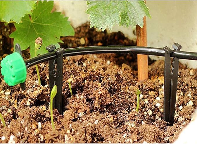 60 Pcs Drip Irrigation Stakes for 1/8" 1/4" Drip Tubing Hold Stakes for Garden Hydroponics Growing