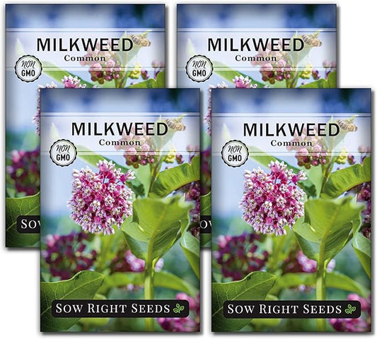 Sow Right Seeds - Common Milkweed Seeds for Planting - Attract Monarch Butterflies to Your Garden - Non-GMO Heirloom Seed Packet with Full Instructions to Plant - Perennial Plant for Pollinators (4)
