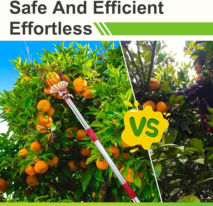 2-in-1 9 FT Pole Saw and Fruit Picker for Tree Trimming and Fruit Harvesting, SK5 Blade and High Carbon Steel Fruit Picker for Cutting High Branches and Fruit Grabber, Stainless Steel Pole