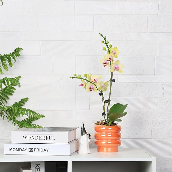 4.1 inch 4 pcs Ceramic Plant Pots for Indoor Plants, Rainbow Pearl Glaze Planter with Planters for Plants with Drainage Hole, Orchid Pots, Succulent Pot, Small Flower Pot (Orange)