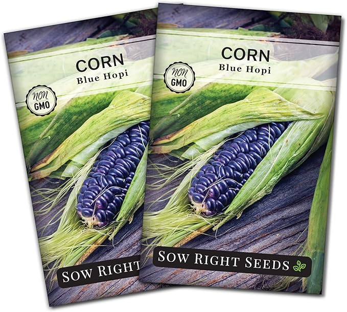 Sow Right Seeds - Blue Hopi Corn Seed for Planting - Non-GMO Heirloom Packet with Instructions to Plant and Grow an Outdoor Home Vegetable Garden - Great for Blue Corn Flour Cooking (2)