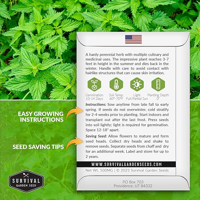 Stinging Nettle Seed for Planting - 2 Packets with Instructions to Plant and Grow Medicinal Herb Common Stinging Nettle in Your Home Herb Garden - Non-GMO Heirloom Variety - Survival Garden Seeds