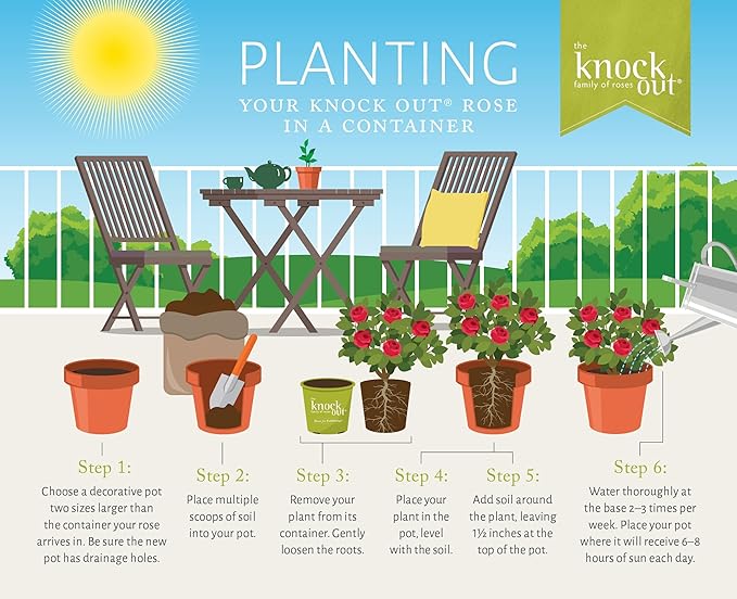 3g Knock Out Double Red Tree Rose