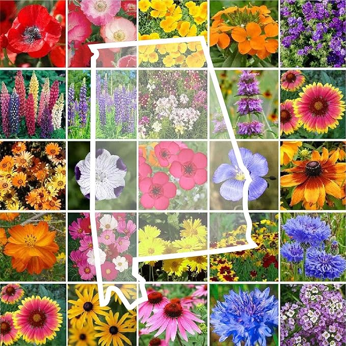 Eden Brothers Alabama Wildflower Mixed Seeds for Planting, 1 oz, 30,000+ Seeds with Cornflower, Cosmos, Blanket Flower | Attracts Pollinators, Plant in Spring or Fall, Zones