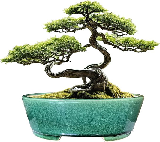 MUZHI 9” Glazed Oval Green Bonsai Planter Pot with Humidity Tray, Classic Neat Ice Crack Long Bonsai Tree Succulent Plant Pot with Saucer