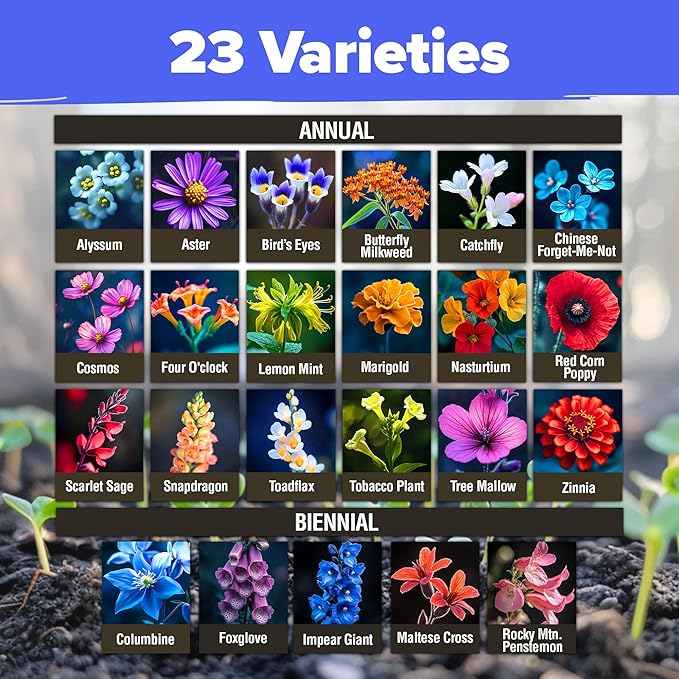 HOME GROWN Wildflower Seeds - 130,000+ Pure, No Filler, Birds & Butterflies Wild Flower Bulk Seed Mix (3 Oz) Flower Garden Seeds - 23 Varieties, Perennial & Annual Seeds for Fall Planting