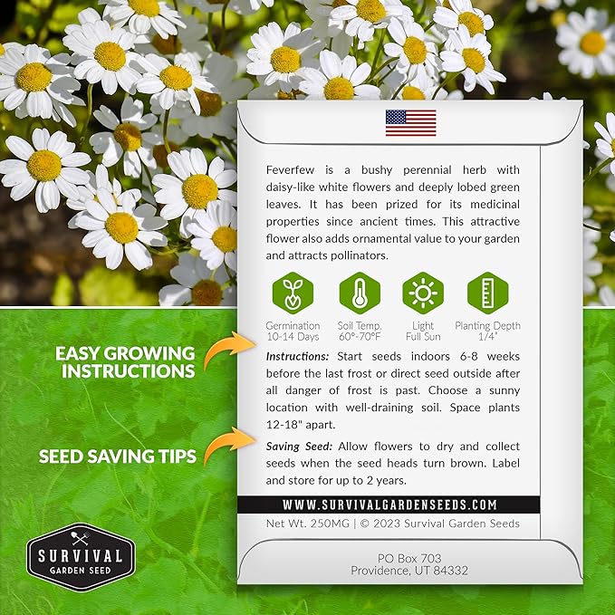 Feverfew Seeds for Planting - 1 Packet with Instructions to Plant and Grow Your Own Bachelor's Buttons in Your Home Vegetable or Herb Garden - Non-GMO Heirloom Variety - Survival Garden Seeds