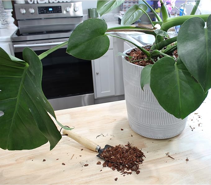 100% Natural Pine Bark Mulch Nuggets (4 Quarts), Small Mulch Chips for Indoor/Outdoor Container Gardening, Ideal for Soil Supplement, Houseplant Mulch, and Terrariums