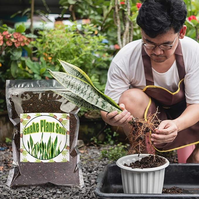Premium Snake Plant Soil Mix 4qt, Indoor Plants Potting Mix for All Potted Snake Plants, Promote Healthy Growth and Easy Care
