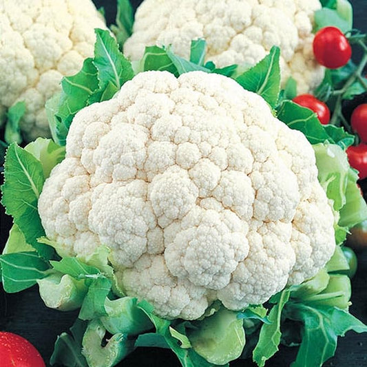 Snowball Cauliflower Seeds for Planting - Non-GMO Heirloom Packet with Instructions to Plant & Grow a Home Outdoor Vegetable Garden (200 Seeds) – Great Gardening Gift, 2 Packets