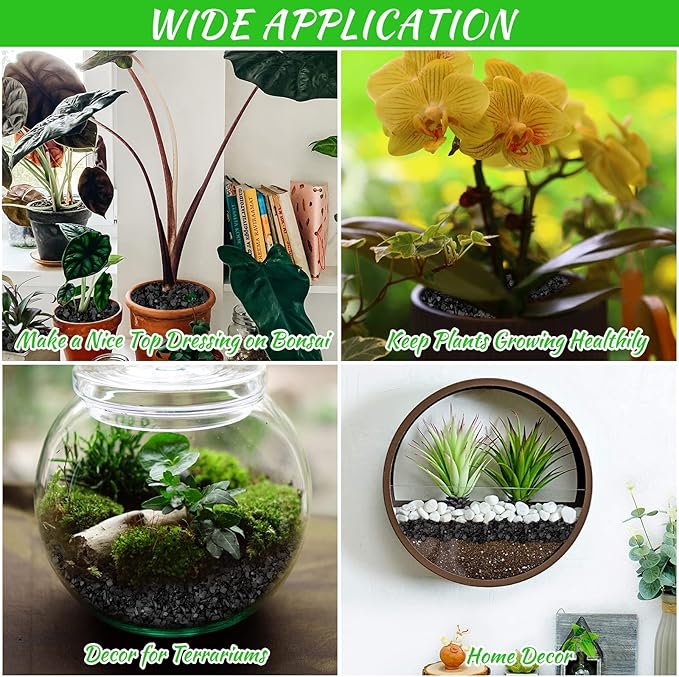 Legigo 6QT All Natural Horticultural Charcoal- Activated Hardwood Plant Charcoal for Soil Amendment, Conditioning Bonsai Soil, Succulent Soil, Terrarium Supplies, Indoor Plant Potting Soil