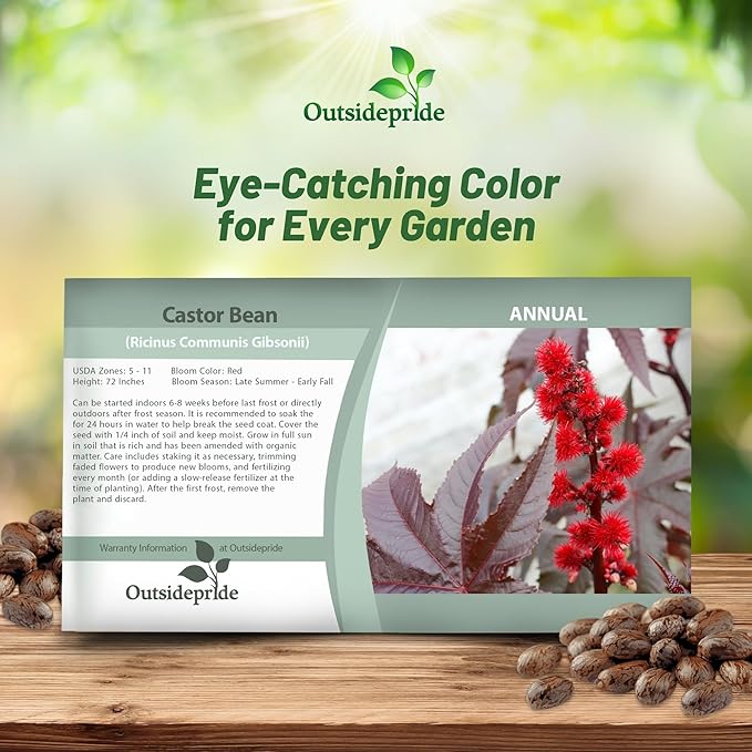 Outsidepride 50 Seeds Annual Ricinus Communis Castor Bean Gibsonii Flower Seeds for Planting