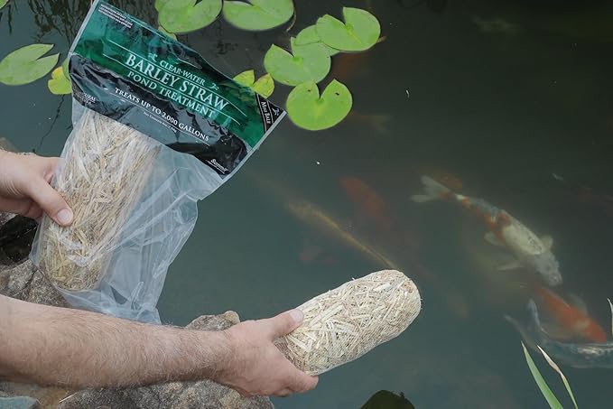 Summit Clear-Water Barley Straw Pond Treatment, 2-Pack, Treats upto 2000 Gallons, 1000 Gallons per Bale