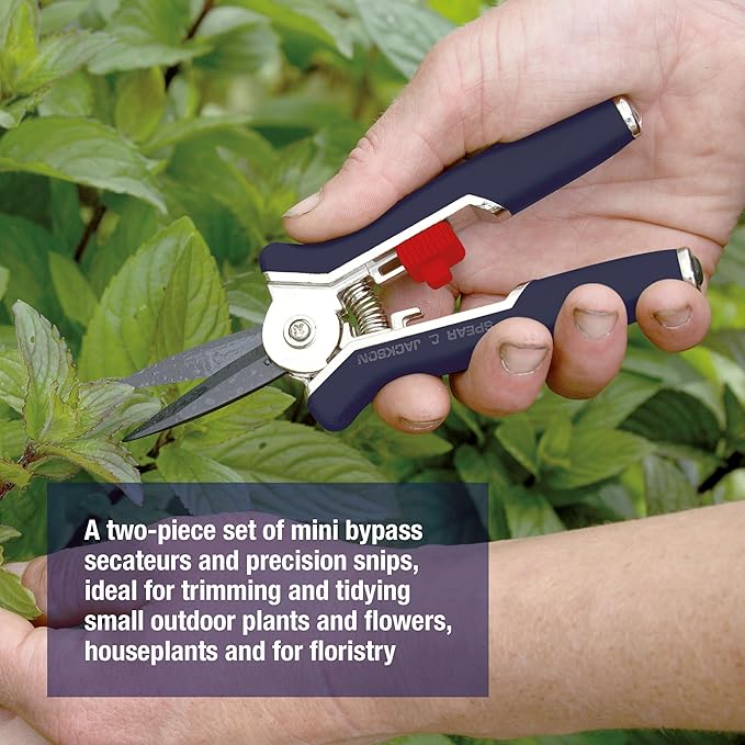 Spear & Jackson 4941MP Razorsharp Mini Pruner Set