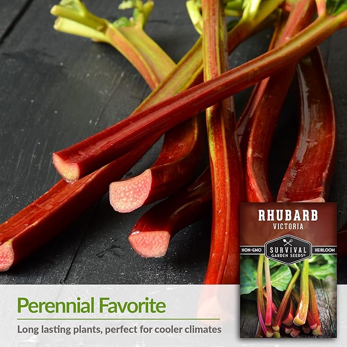 Survival Garden Seeds - Victoria Rhubarb Seed for Planting - 1 Packet with Instructions to Plant and Grow Cold-Tolerant Perennial Spring Vegetables in Your Home Garden - Non-GMO Heirloom Variety