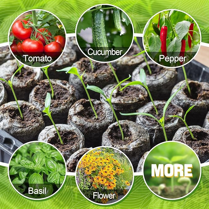 300 Pcs Peat Pellets for Seedling - 30mm Seeds Plant Starter Plugs, Compressed Fiber Garden Soil Block with 300 Labels, Plant Pods Bulk for Transplanting Herbs Flowers Vegetables