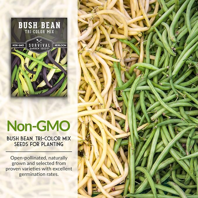 Survival Garden Seeds - Tri-Color Bean Seed for Planting - 5 Packs with Instructions to Plant and Grow Yellow, Purple, and Green Bush Beans in Your Home Vegetable Garden - Non-GMO Heirloom Variety