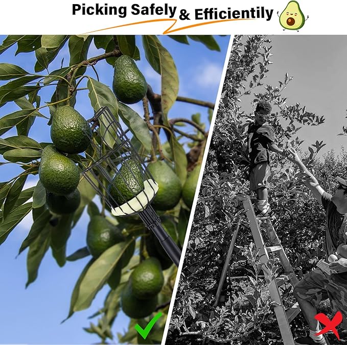 Fruit Picker Pole Tool with Basket, 7.3 FT (88 Inch) Adjustable Fruit Grabber Reacher Tool Long Handle Fruit Catcher for Apple Lemon Pear Citrus Mango Tree Gardening Supplies, Black