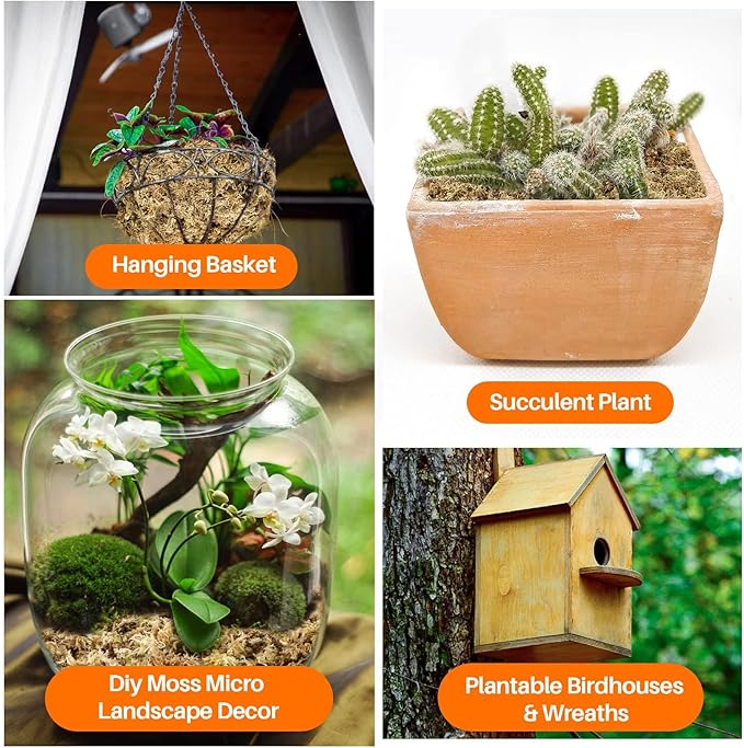 Sukh 6oz Sphagnum Moss for Plants - Sphagnum Peat Moss Natural Long Fibered Dried Moss Potting for Orchids Succulent Carnivorous Potted Plant Reptiles Medium Sarracenia DIY Moss Terrarium Decorations