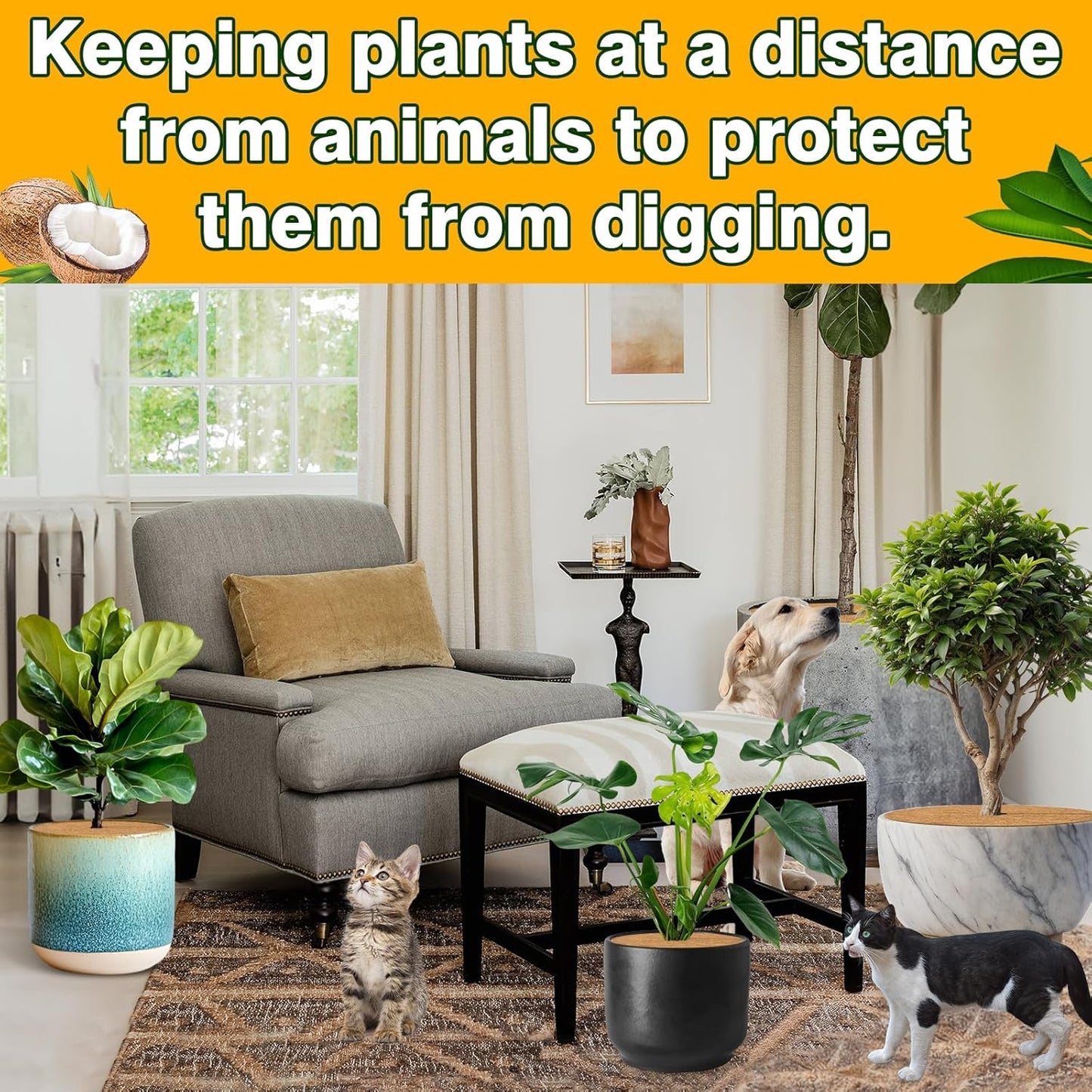 ZeeDix 3 Pack 24 Inch Coconut Fiber Tree Mulch Ring, 100% Natural Coco Coir Tree Ring Mulch Mat, Coconut Coir Discs Plant Cover Tree Protectors Mats Mulch Rings for Landscaping Trees Outdoor Plants