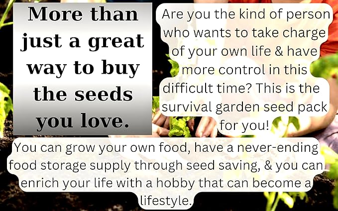 B&KM Farms Heirloom Seed Vault, 20 Varieties, 20,000+ Non-GMO Seeds, Long-Term Storage (Regular, Small)