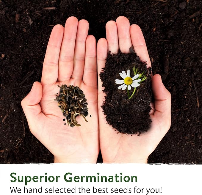 HOME GROWN Wildflower Seeds - 2oz Bulk Perennial Wild Flower Seeds Mix - Flower Garden Seeds for Attracting Bees, Birds & Butterflies - 24 Variety Plant Seeds for Planting Outdoor Garden