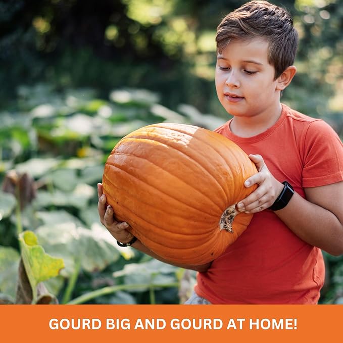 Kids Outdoor Pumpkin Garden Kit - Complete Kit for Growing Your Own Pumpkins from Seeds with Grow Rings and Greenhouse Germination Domes, Non-GMO Seeds, BPA-Free