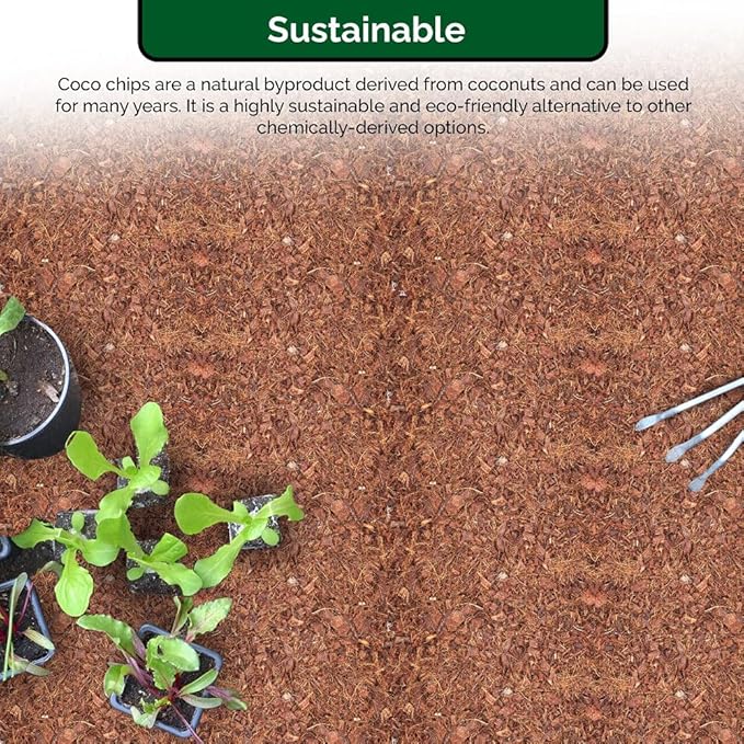 UBICON Easy Use Coco Coir Organic Top Soil for Indoor/Outdoor Plants; 4 Bricks Expands to 10 Gallons, Excellent Aeration, Reduces Weed Growth, and Retains Water (4)