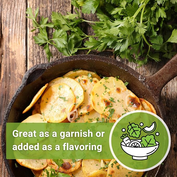 Sow Right Seeds - Flat Leaf Parsley Seed for Planting - Non-GMO Heirloom Packet with Instructions to Plant and Grow a Kitchen Herb Garden - Indoor or Outdoor - Great for Hydroponics Growing (3)