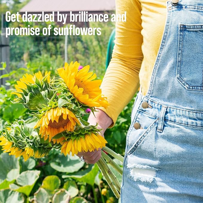 Sunflower Garden Kit with Grow Rings, Greenhouse Germination Domes, Seeds, Markers, Instructions – Gardening Gift for Mom, Teachers, Women, and Men – Made in USA