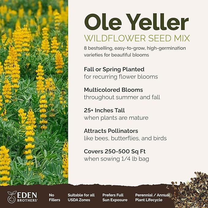 Eden Brothers Ole Yeller Wildflower Mixed Seeds for Planting, 1/4 lb, 120,000+ Seeds with African Marigold, Sunflower | Attracts Pollinators, Plant in Spring or Fall, Zones 3, 4, 5, 6, 7, 8, 9, 10