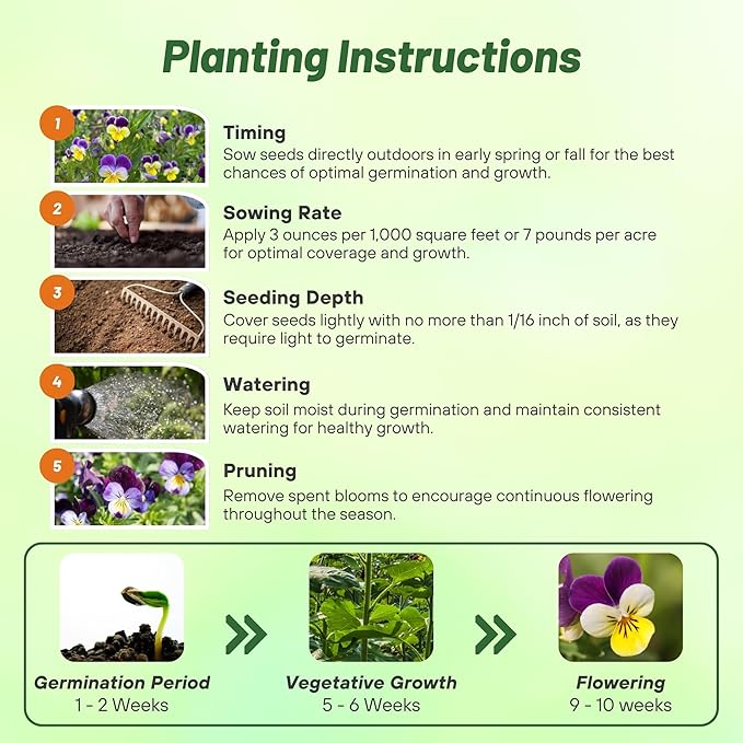 Outsidepride 1/8 lb. Perennial Viola Johnny Jump Up Flower Seeds for Planting