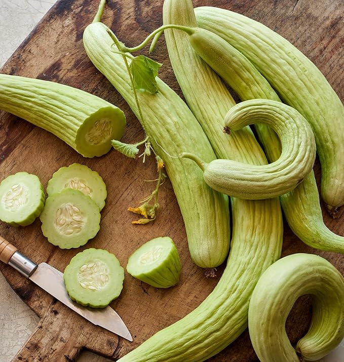 Burpee 'Armenian' Cucumber Seeds, 100 Non-GMO seeds, Heirloom