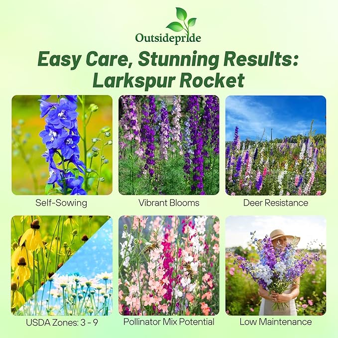 Outsidepride 1000 Seeds Delphinium Rocket Larkspur Wild Flower Seed Mix for Planting