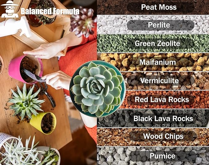Succulent Soil Potting Mix 1.1 LBS, Optimized PH Fast Draining with Added Nutrients, Perfect for Small Succulent Pots