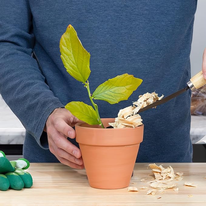 Pine Shavings Mulch/Livestock Bedding (8 Quarts), Garden Mulch and Small Animal Pet Bedding