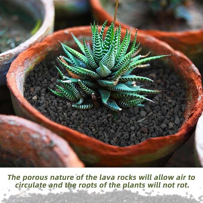 2.4LB Black Lava Rocks for Plants, Volcanic Rock Horticultural Lava Rock Soil for Landscaping Plants Drainage, Small Lava Rock Gravel for Succulents, Bonsai, Vase Fillers, Top Dressing