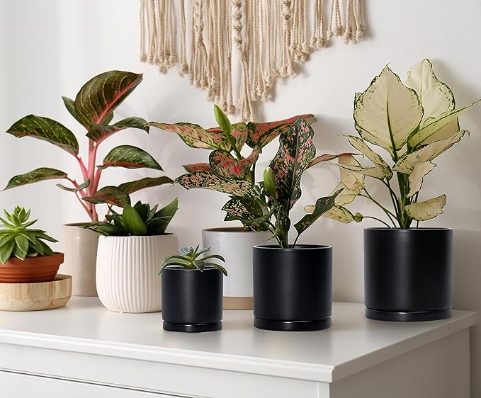 D'vine Dev Black Terracotta Pots for Plants, 4.2 Inch 5.3 Inch 6.5 Inch, Succulent Planter Pot with Drainage and Saucer, 40-T-A-2