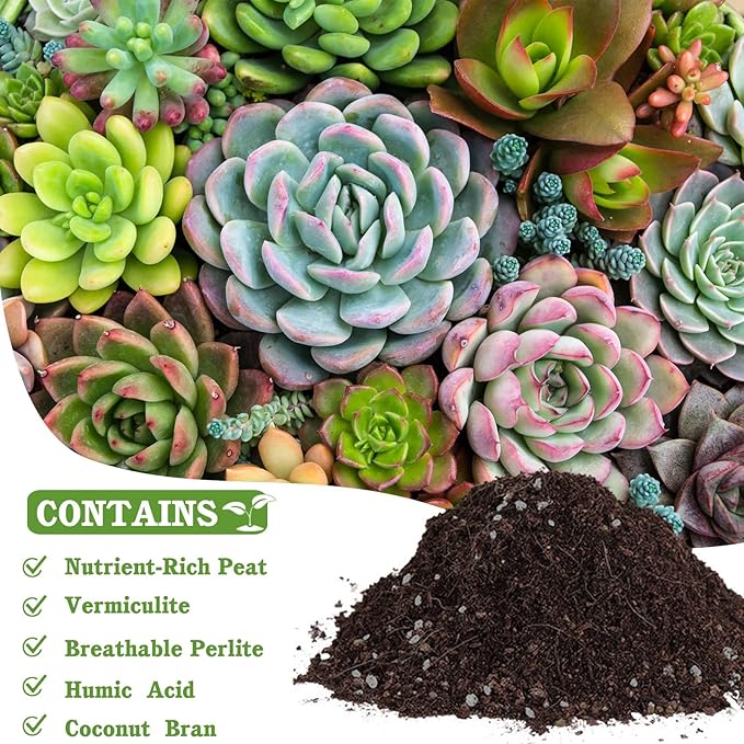 Halatool 6 QT Organic Aloe Plant Soil Potting Mix Garden Top Succulent Soil for Indoor & Outdoor Plants Bonsai Cactus Soil Potting Mix for Houseplants Flowers Vegetables & Herbs