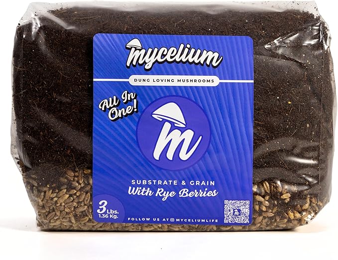 Mycelium's Superior Dung-Loving Mushroom Substrate & Rye Berries Grain 3 LB All-in-One Bag – Organic Coco Coir, Vermiculite & Gypsum Formula, Pre-Sterilized & Ready for Easy Home Cultivation