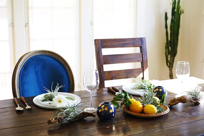 Shop Succulents Bromeliad Collection Hand Selected Variety of Tillandsia Ionantha, Purifying Live Indoor Air Plants